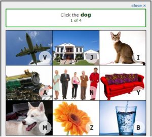 Confident reCAPTCHA captcha