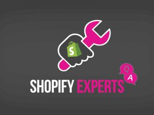 shopify clone experts